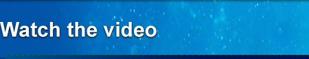 Watch the video
